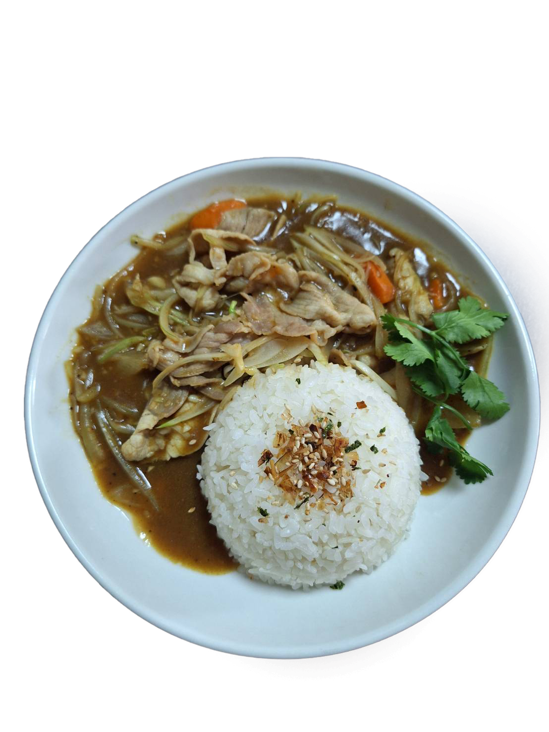 越式豬肉咖哩飯    Cơm thịt heo Ca  Ri  